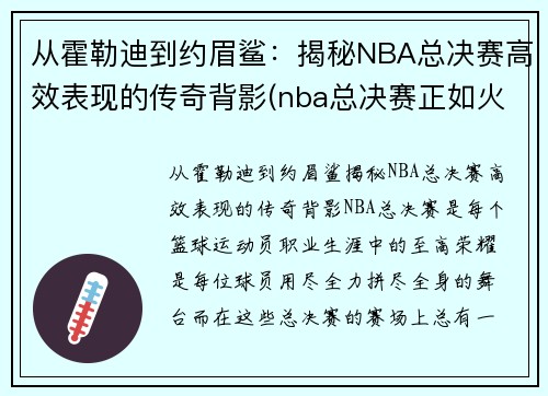 从霍勒迪到约眉鲨：揭秘NBA总决赛高效表现的传奇背影(nba总决赛正如火如荼地进行)